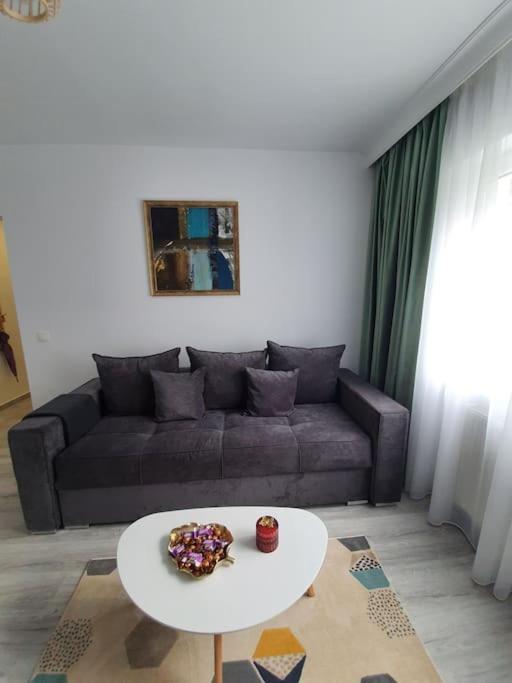 Apartament Ama Сибиу Екстериор снимка