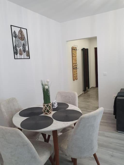 Apartament Ama Сибиу Екстериор снимка