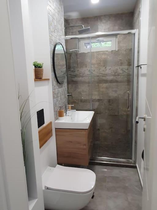 Apartament Ama Сибиу Екстериор снимка