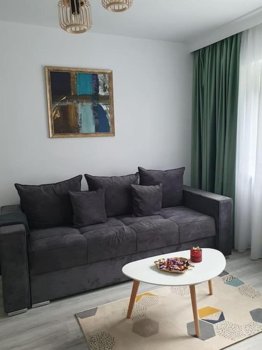 Apartament Ama Сибиу Екстериор снимка