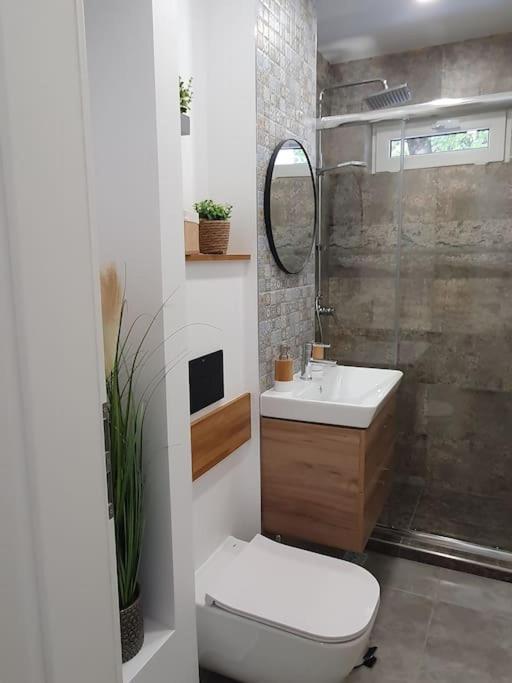 Apartament Ama Сибиу Екстериор снимка