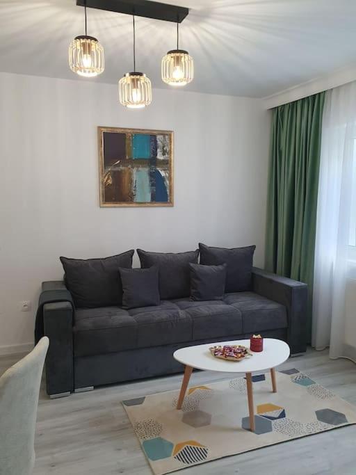 Apartament Ama Сибиу Екстериор снимка