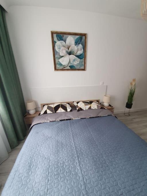 Apartament Ama Сибиу Екстериор снимка