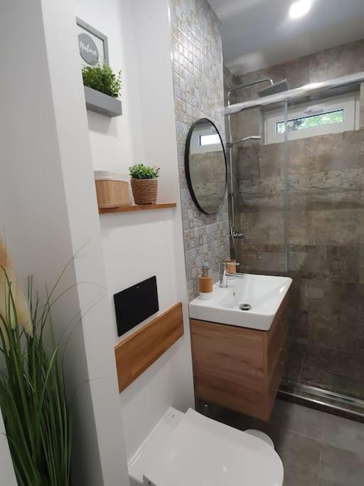 Apartament Ama Сибиу Екстериор снимка